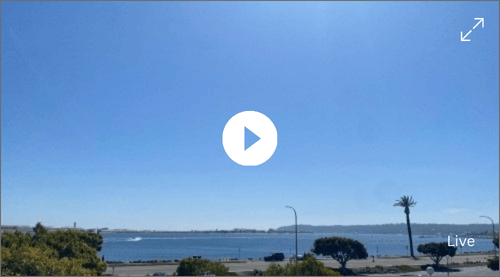 A live stream video thumbnail showing a bright blue sky over a body of water. Trees and bushes are visible along the shoreline with a clear road running parallel to the water. A single palm tree stands on the right side, capturing the scenic beauty from a San Diego Webcam. Play button icon in the center.